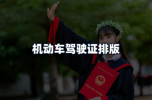 机动车驾驶证排版